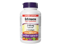 Webber Naturals Triple Standardized Echinacea Softgels - 2100 mg - 90's