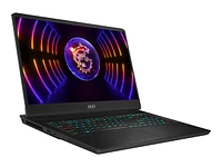 MSI Vector GP77 Gaming Laptop - 17.3 Inch - 32 GB RAM - 1 TB SSD - Intel Core i7 13700H - RTX 4070 - Core Black - 13VG-033CA