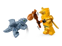 LEGO NINJAGO Dragons Rising - Nya and Arin's Baby Dragon Battle