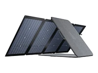 EcoFlow 220 Watt Solar Panel - ECF10SP220