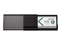 Sony USB Travel Charger and Battery Kit - ACC-TRDCX