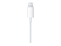 Apple EarPods with Lightning Connector - White - MMTN2AM/A