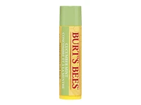 Burt's Bees Lip Balm - Cucumber Mint - 4.25g