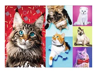 Trefl Puzzle Happy Cats - 1000pce