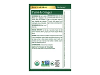 Traditional Medicinals Organic Wrapped Tea Bags - Tulsi with Ginger - 16's