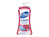 Dial Complete Antibacterial Foaming Hand Wash - Power Berries - 221ml