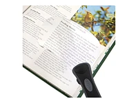 Carson Rectangle Lighted RimFree Magnifier - RM-77