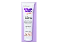 Marc Anthony Repair Bond+Rescuplex Daily Care Shampoo - 250ml