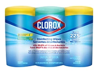 Clorox Disinfecting Wipes - 3x75s