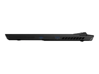 MSI Vector GP77 Gaming Laptop - 17.3 Inch - 32 GB RAM - 1 TB SSD - Intel Core i7 13700H - RTX 4070 - Core Black - 13VG-033CA