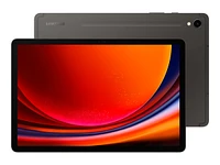 Samsung Galaxy Tab S9 - 11 Inch - 128GB - SM-X710NZAAXAC