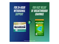 Nicorette Fresh Fruit Gum - 2mg - 105's