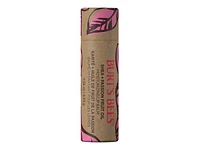 Burt's Bees Shea + Passion Fruit Oil Moisturizing Lip Balm - 9.63g