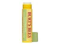 Burt's Bees Lip Balm - Cucumber Mint - 4.25g