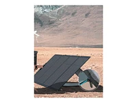 EcoFlow 220 Watt Solar Panel - ECF10SP220