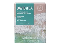 DAVIDsTEA Fruit Infusion Tea - Caribbean Crush - 12's