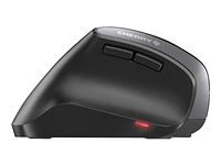 CHERRY MW 4500 Wireless Vertical Mouse - Black - JW-4500