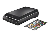 Epson Perfection V600 Photo Flatbed Scanner - B11B198022