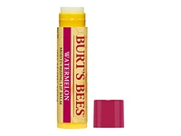 Burt's Bees Moisturizing Lip Balm - 4.25g