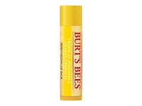 Burt's Bees Moisturizing Lip Balm Tube - Tropical Pineapple