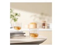 BODUM SKAL Whiskey Tumblers - 280ml - 2 pack