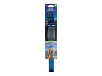 Nite Ize NiteDog Rechargeable LED Collar - Blue