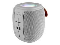 PROSCAN Portable Bluetooth Speaker