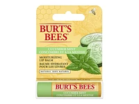 Burt's Bees Lip Balm - Cucumber Mint - 4.25g