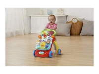 VTech Stroll & Discover Activity Walker