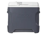 Igloo VersaTemp Electric Cooler - 28qt - 40390