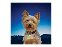 Nite Ize PetLit Collar Light - Lime Jewel