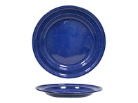 Modern Houseware Camping Plate - Blue