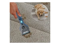 Shark CarpetXpert Upright Carpet Washer - EX200C