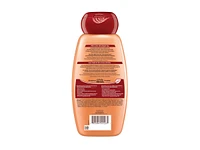 Garnier Whole Blends Restoring Shampoo - Castor Oil Remedy - 370ml
