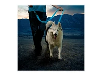 Nite Ize NiteDog Rechargeable LED Leash - Blue - NDLR-03-R3