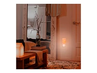 Globe Himalayan Salt Night Light