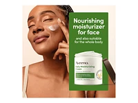 Aveeno Daily Moisturizing Cream - 425g