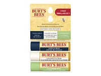 Burt's Bees Moisturizing Lip Balm - 3 x 4.25g