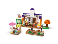 LEGO Animal Crossing - K.K.'s Concert at the Plaza