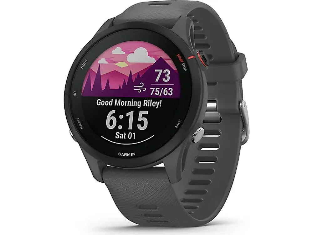 Garmin Forerunner 255