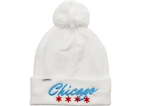 Sprints Winter Hat - Chicago 2024