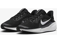 Youth | Nike Pegasus 41