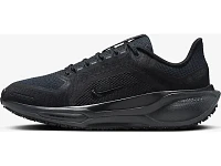 Women's | Nike Pegasus 41 GTX