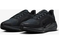 Women's | Nike Pegasus 41 GTX