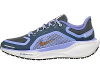 Women's | Nike Pegasus 41 GTX