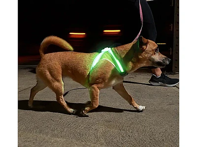 Noxgear Lighthound Harness