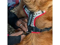 Nathan Reflective Dog Harness - K9 Series