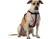 Nathan Reflective Dog Harness - K9 Series