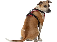 Nathan Reflective Dog Harness - K9 Series