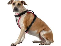 Nathan Reflective Dog Harness - K9 Series